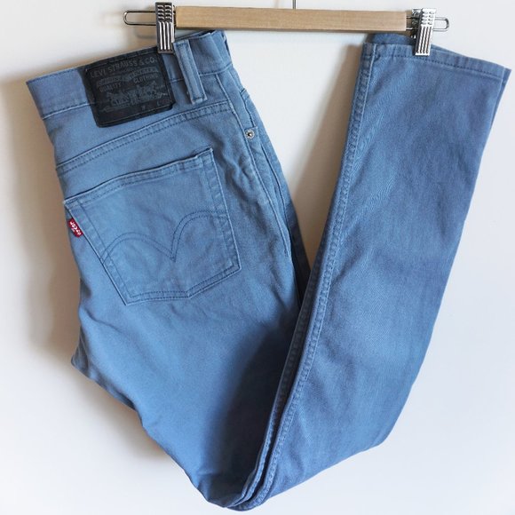 Levi's Other - LEVI'S 510 Blue Pants Jeans Skinny Rare